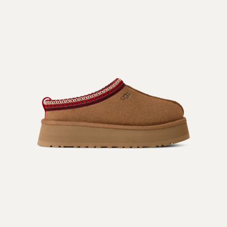 Chausson Tazz II