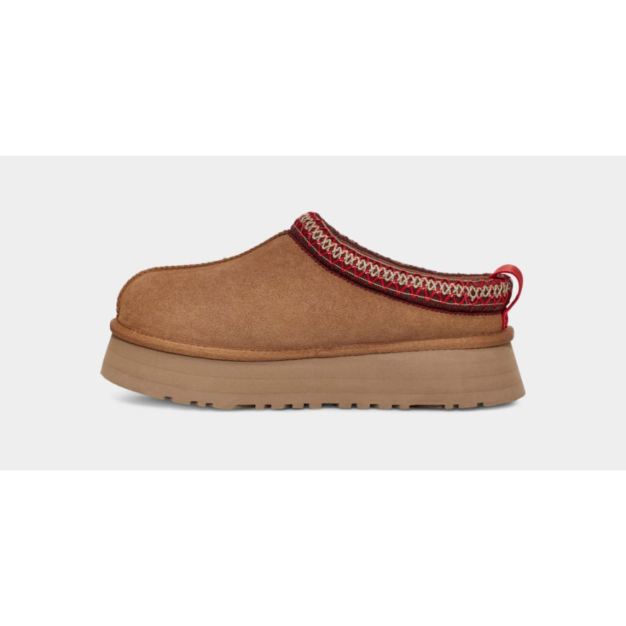 Chausson Tazz