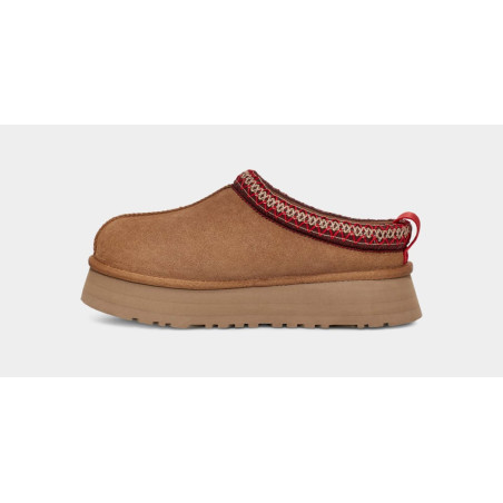 Chausson Tazz