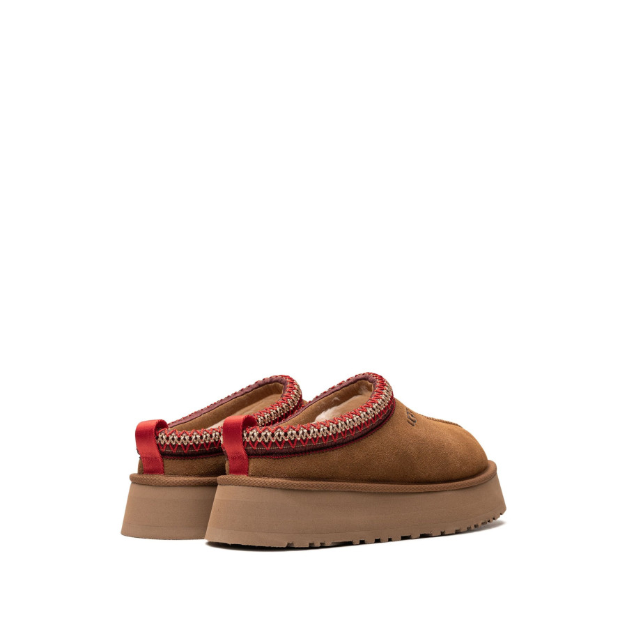 Chausson Tazz