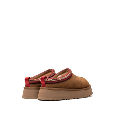 Chausson Tazz